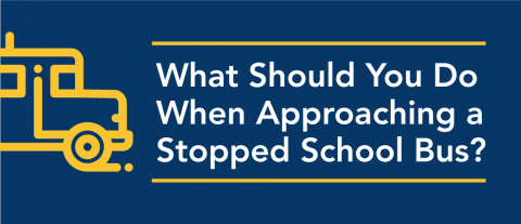 What should you do when approaching a stopped school bus in Illinois?